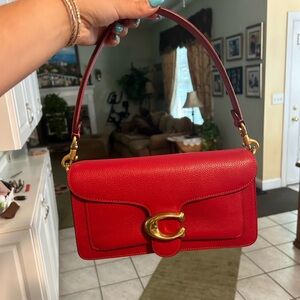 Brick red coach tabby 26